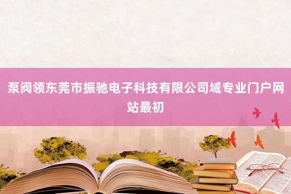 泵阀领东莞市振驰电子科技有限公司域专业门户网站最初
